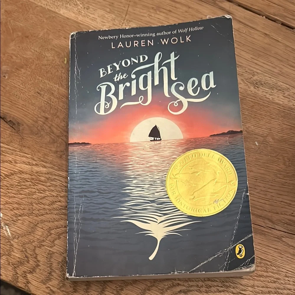 Beyond the Bright Sea Book